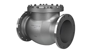 Cryogenic Swing Check Valve